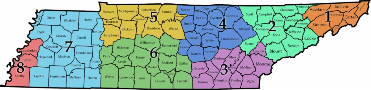TML District Map