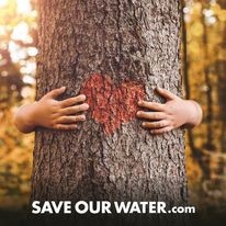 Image of a red heart painted on a tree trunk with handles encircling the trunk.