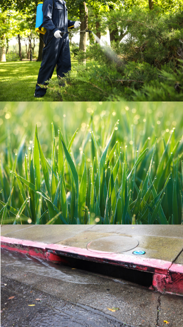 person spraying a green shrub, grass, storm drain with water flowing into it