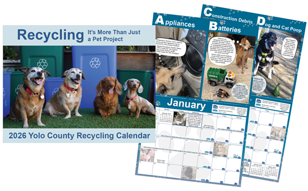 front of recycling calendar showing 4 dogs and picture of two pages within the calendar showing dogs and calendar pages