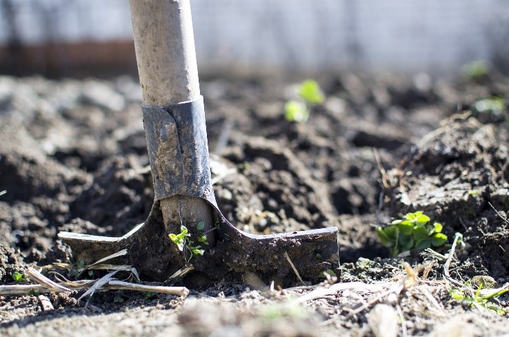 shovel digging in brown dirt