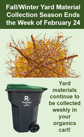 yard material pile with sticks and leaves and organics cart which si grey with a green lid