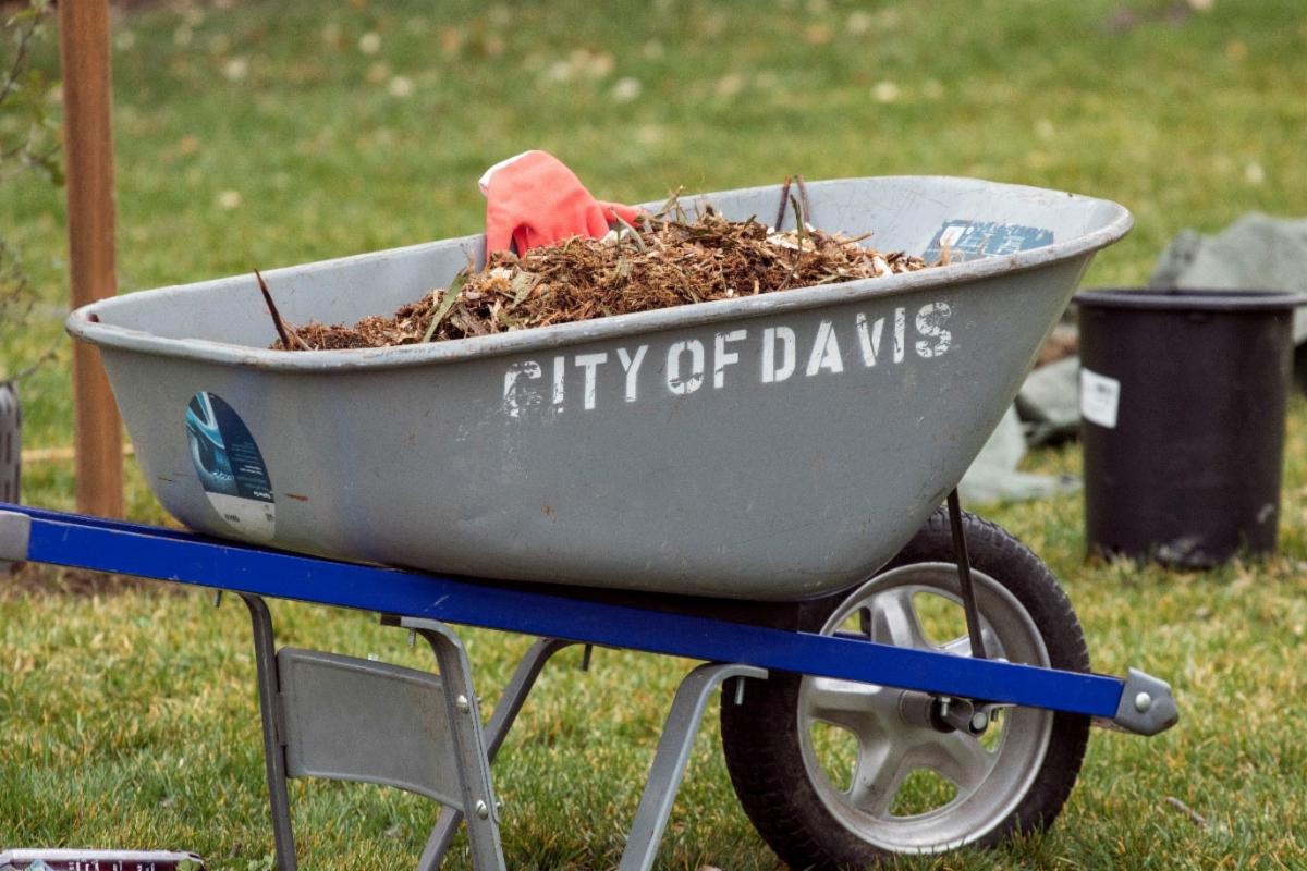grey wheelbarrow filled with mulch with City of Davis on the side