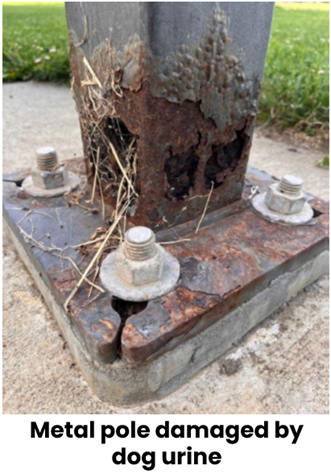 rusted metal pole with caption metal pole damaged by dog urine