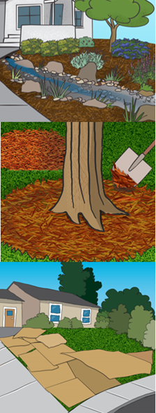 rocky swale in a yard with low water plants, mulch around a tree, cardboard covering grass for turf removal