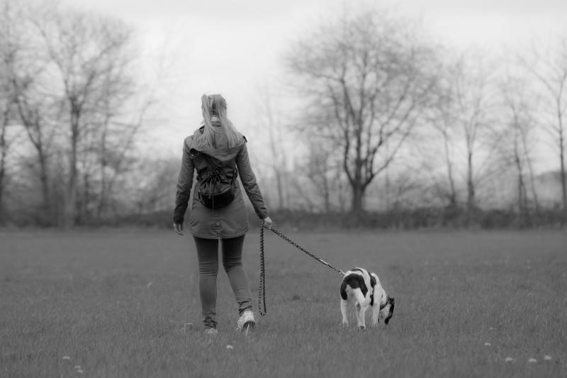 black and white image of a women's back walking a dog on a leash through a grassy area.