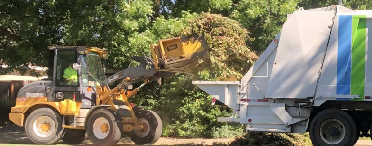 Image of yard material being loaded into the back of a recology truck that is white with a blue and green stripe