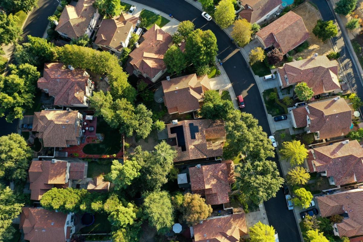 Image of multiple rooftops and the tops of trees with green leaves