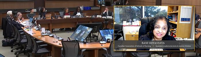 CASN testifies at HOC HESA