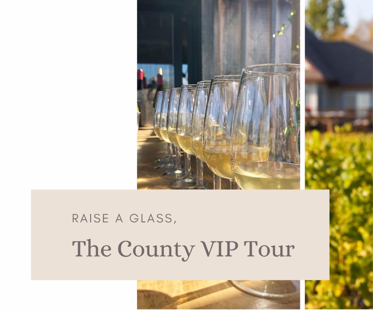 Are you a wine enthusiast?