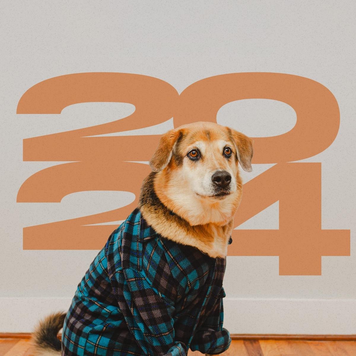 yoshi dog