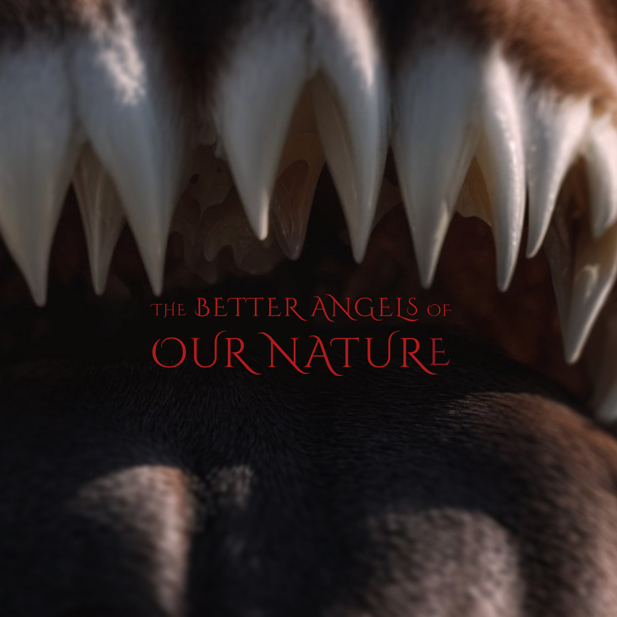 gavin castleton better angels