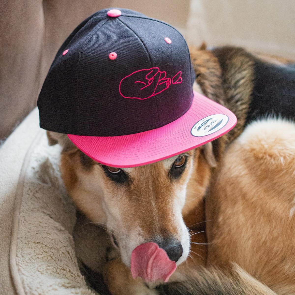 my dog yoshi wearing a new embroidered hat