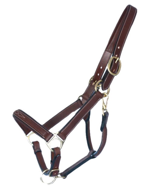 Screen Shot 2022-04-25 at 3.00.07 PM.png