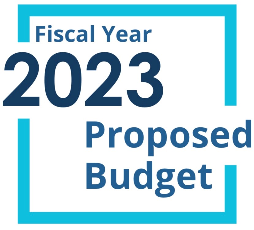 Budget Logo.jpg