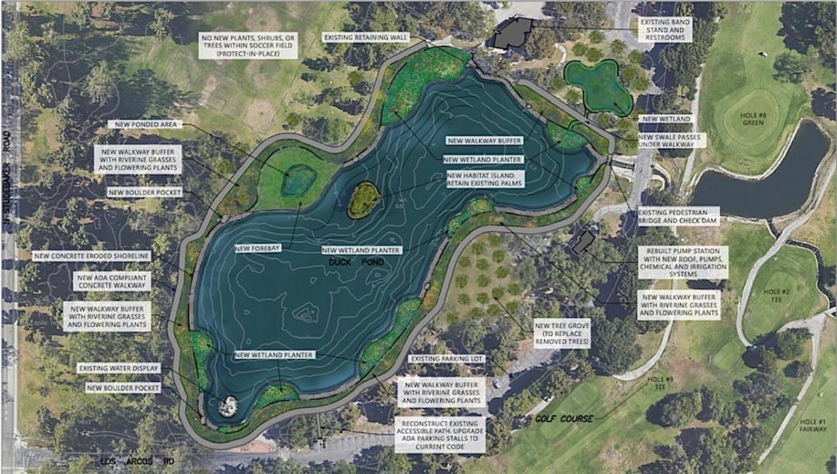 Duck Pond Construction.jpg