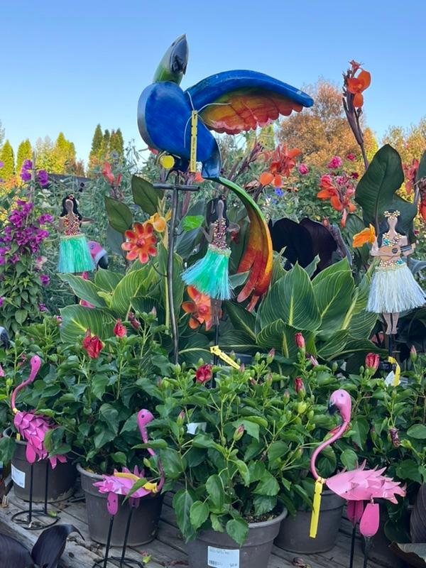 All Perennials on Sale This Week!