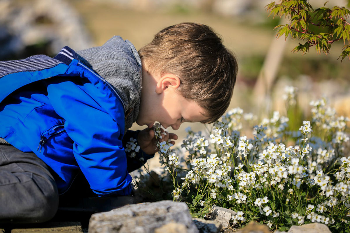 SMALL MALE CHILD SMELLING FLOWERS