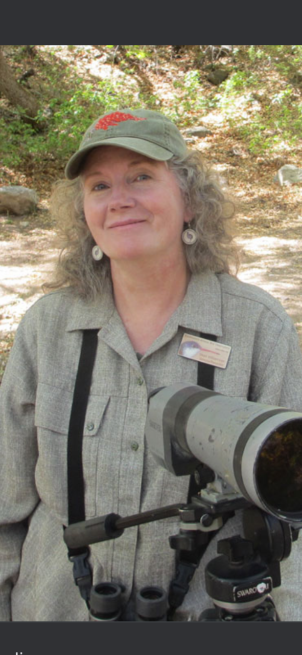 Sheri L. Williamson Presenter.PNG