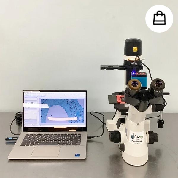 Nikon Eclipse TS100 Inverted Phase Contrast Microscope for sale