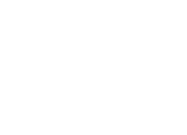 The Veron Company