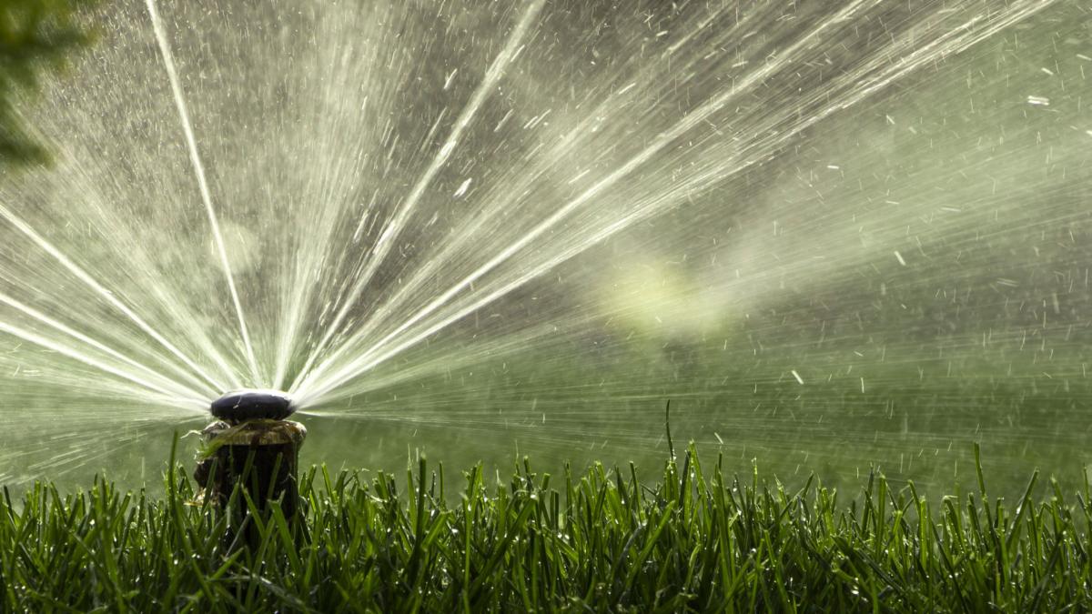 Sprinkler watering green grass