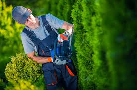 Tree pruning and trimming work in MA