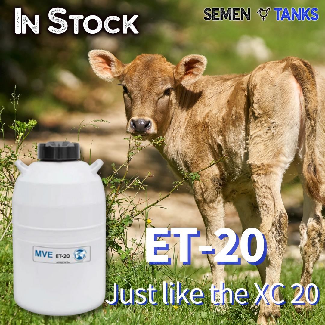 🐷 More Tanks in Stock