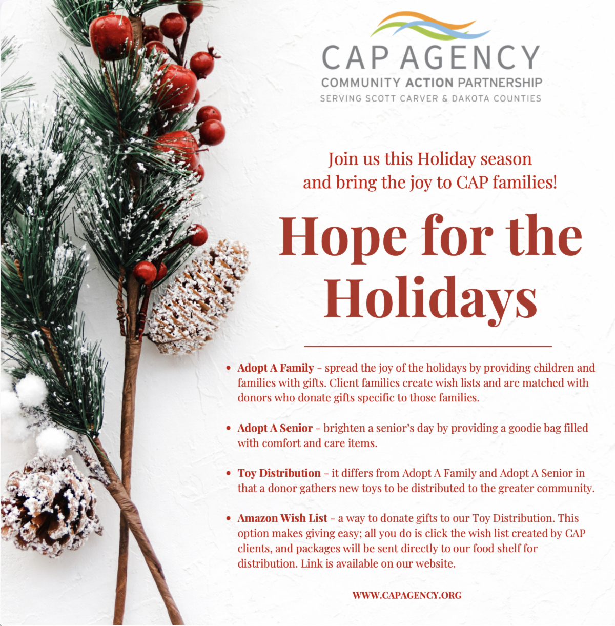 Hope for the holidays TEXT with CAP agency logo