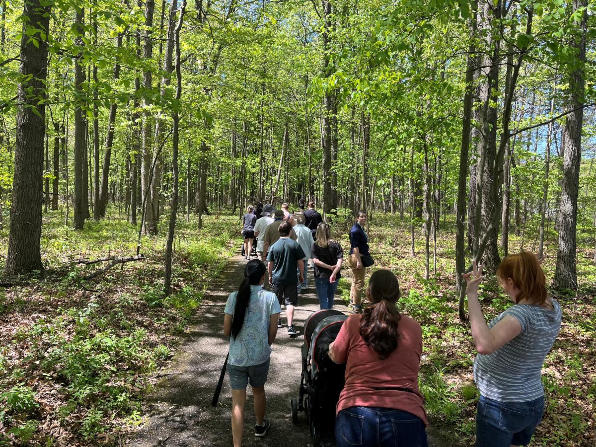 A diverse group of people walk along a tree lined paved path in a park.