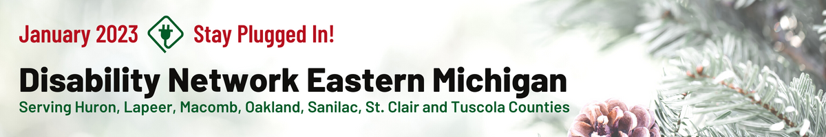 Pine tree branch on a snowy green background. The text reads January 2023 Stay Plugged In. Disability Network Eastern Michigan. Serving Huron Lapeer Macomb Oakland Sanilac St. Clair and Tuscola Counties.