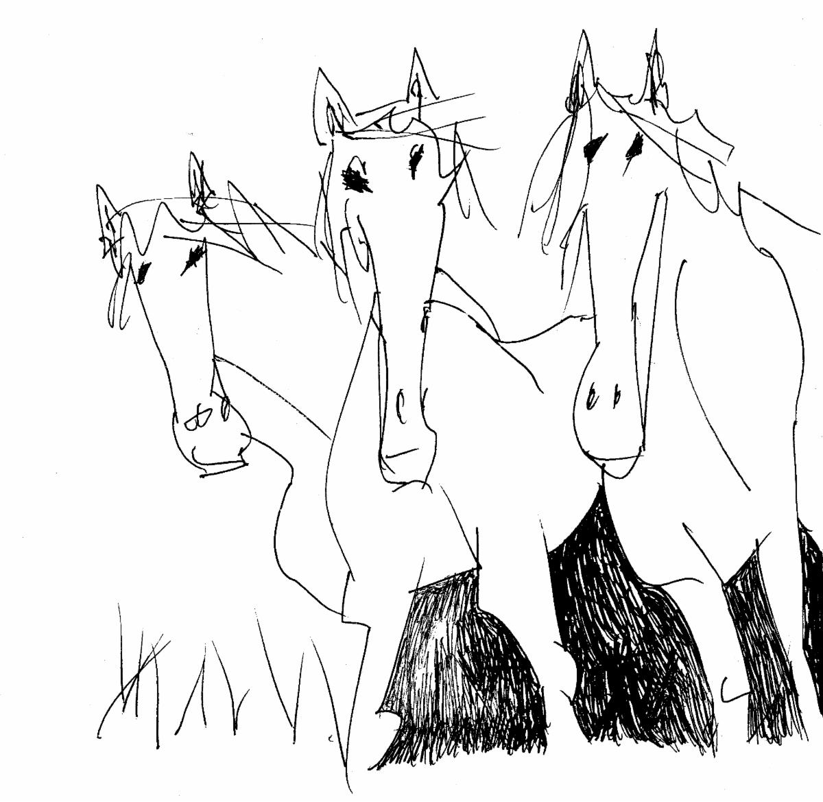 Black line sketch of three horses