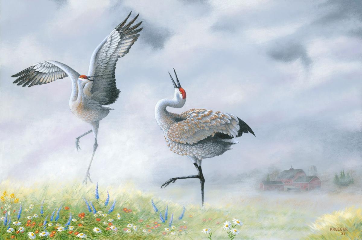 Dance Partners - Mating dance of the Sandhill Cranes, acrylic on canvas, dimensions are 36 x 24 inches, year produced 2023