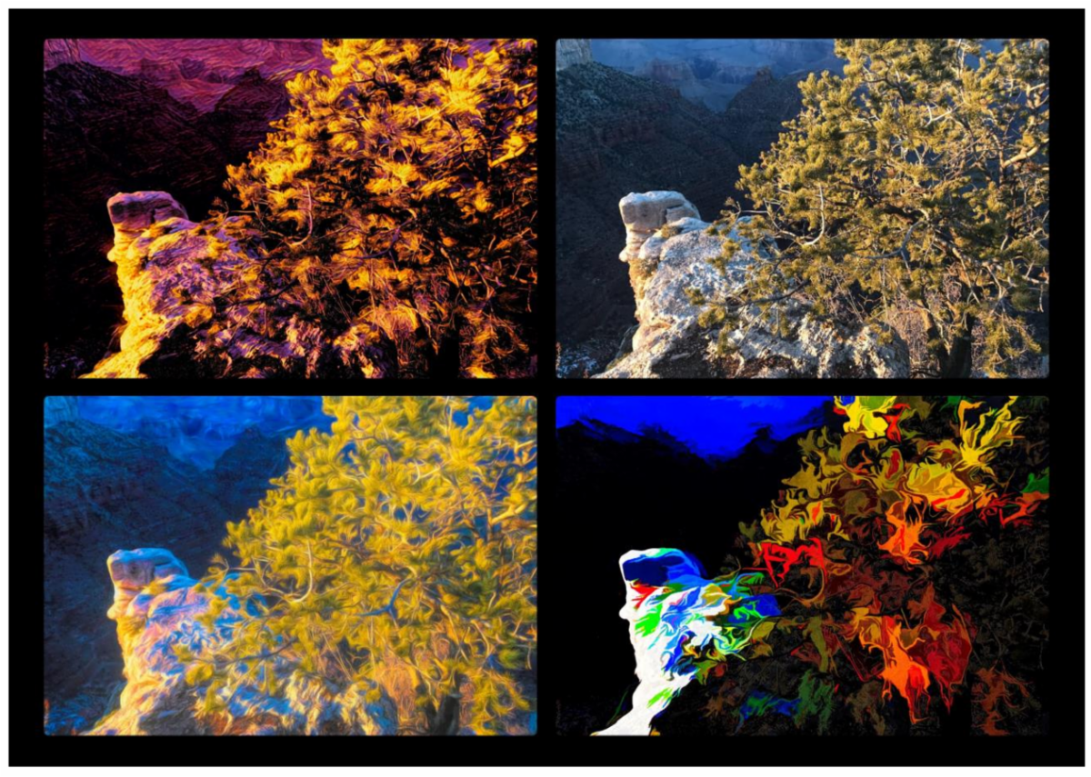 Four versions of the same image, but each has been diigtally manipulated to look different and abstracted