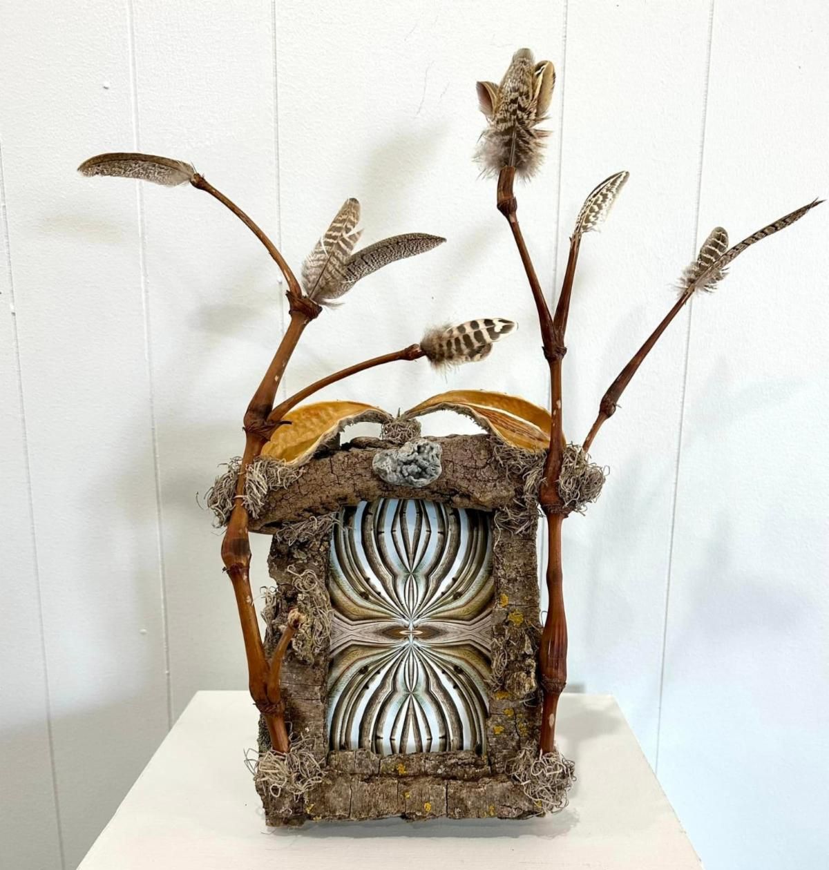 Abstract photo in handmade frame made from nature elements such as twigs and feathers, seed pods, etc.