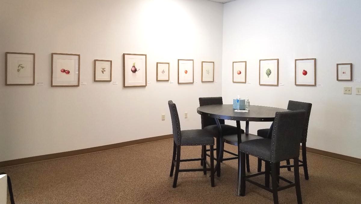SMAC Gallery space with Mary La Patka's framed botanical artworks hung. 