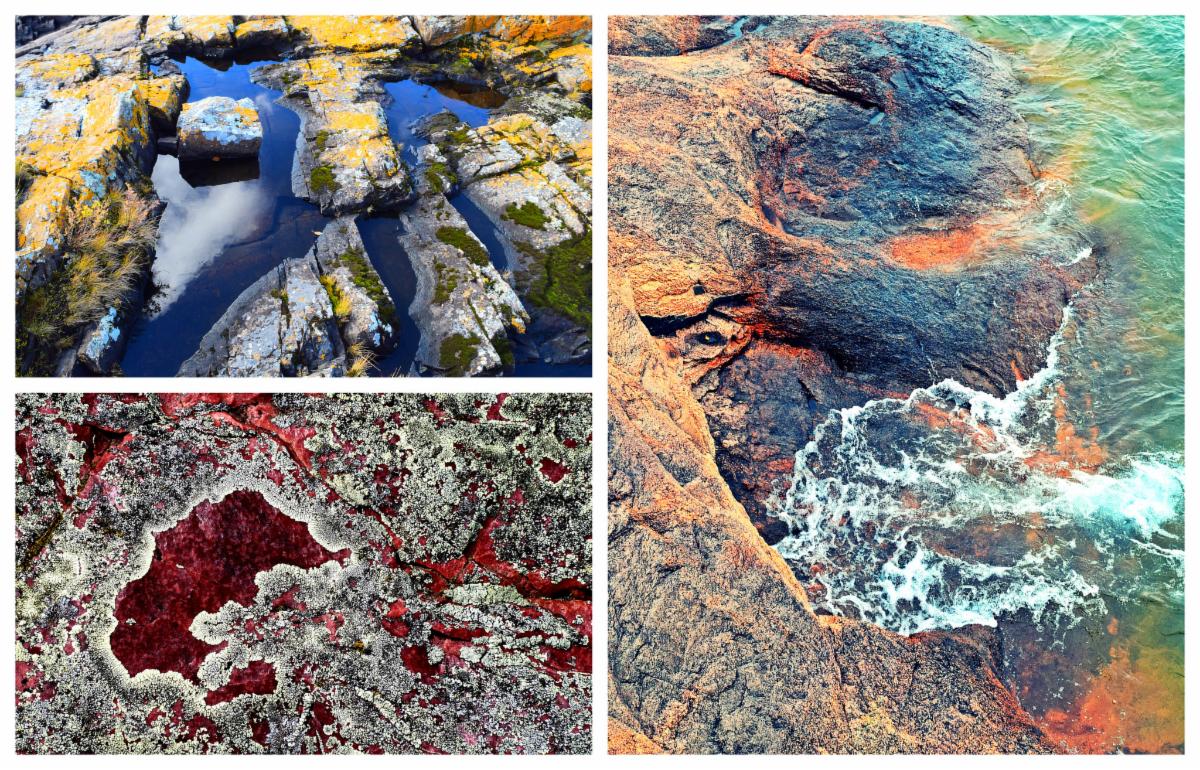 Photographs by Jason Frank. Textural study of Minnesota bedrock. Lake Superior outcrops at right and upper left, 2020. Sioux Quartzite at Blue Mounds State Park, 2019.