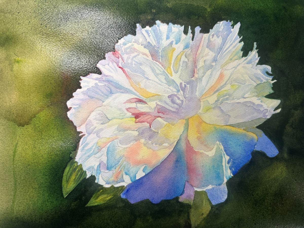Watercolor of a white flower