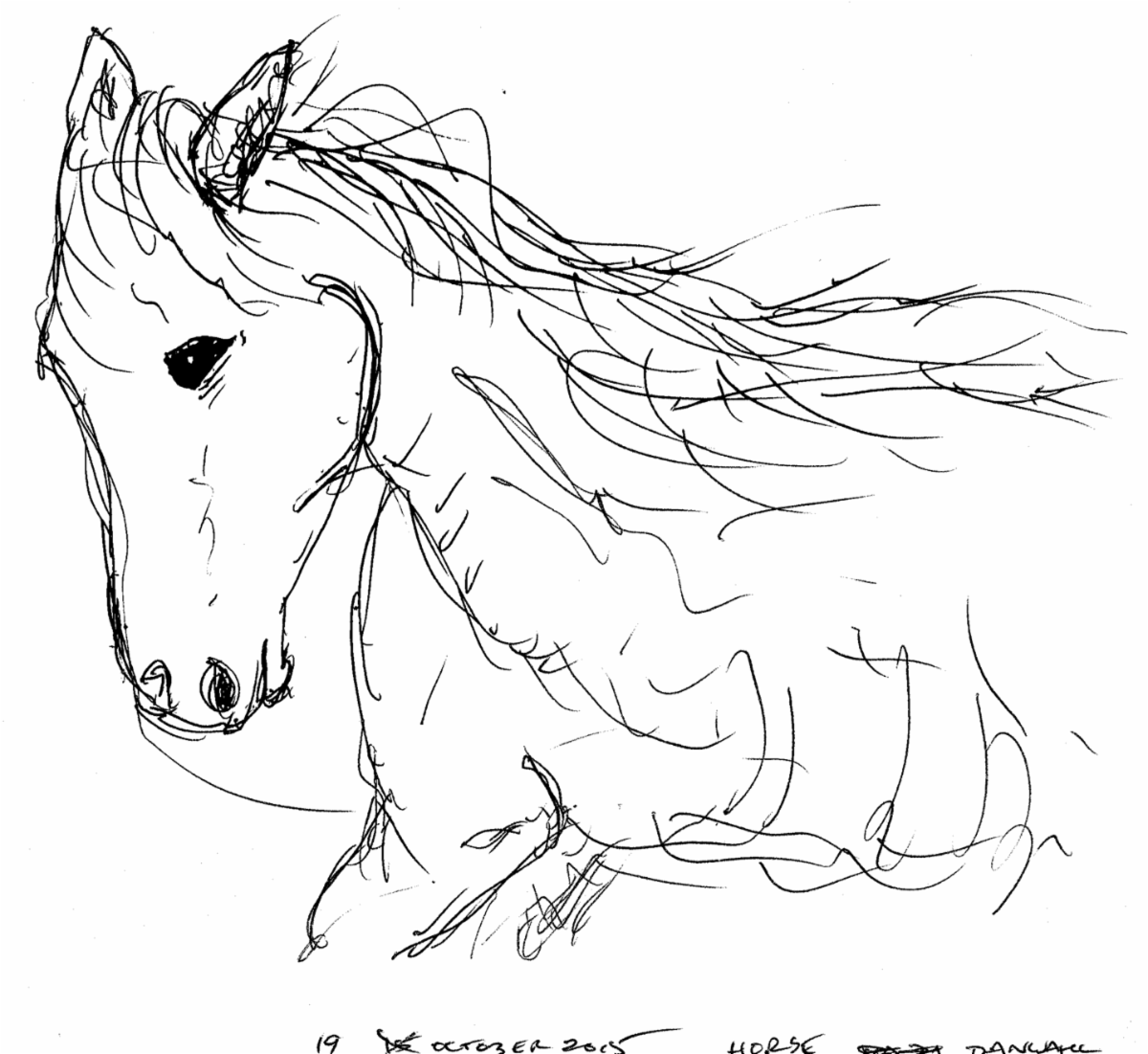 Line sketch of a horse head & neck by artist Dan Wahl