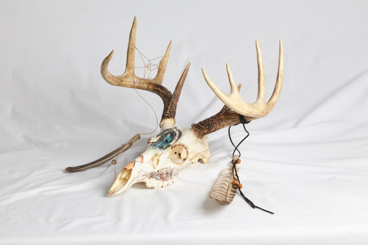 Artwork on antler skull