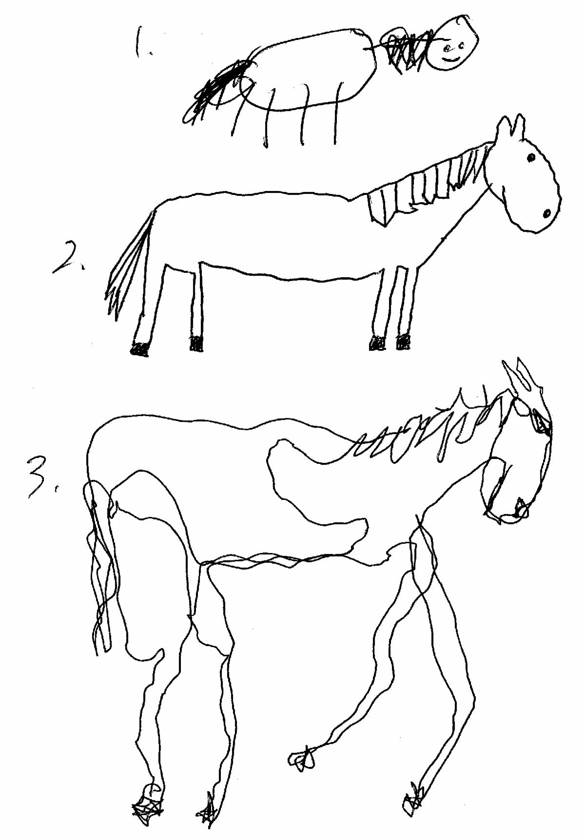 Three horses draw in black line sketch, each numbered 1. 2. and 3. and each becoming more complex in style than the last.