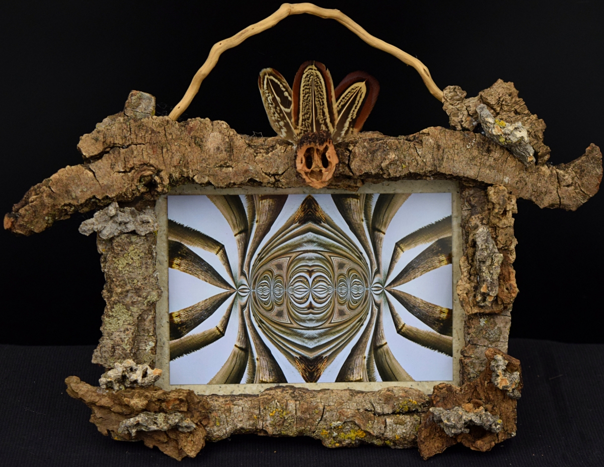 Abstract repeated imaged in a nature made frame of wood and fiber elements
