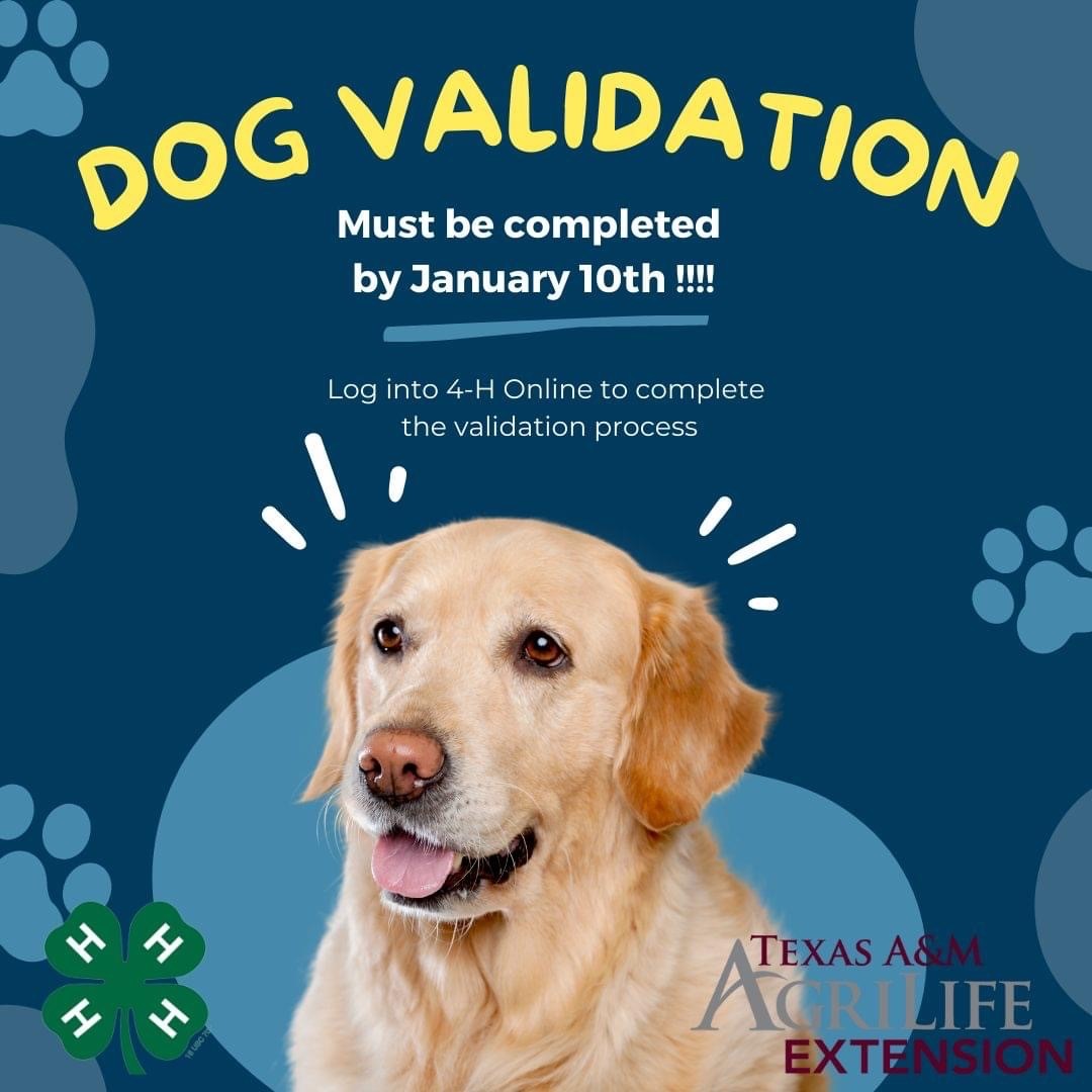 Hunt County 4H Newsletter 1/3/23