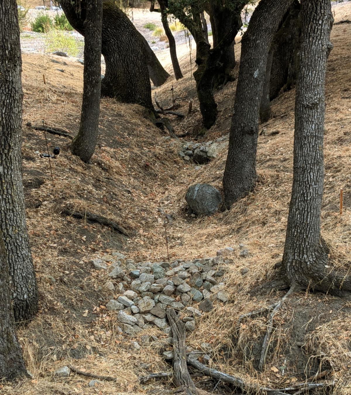 Dry woodland gully with erosion-control structures designed to slow and spread water and support groundwater recharge. The image accompanies the Lake Hennessey watershed story.