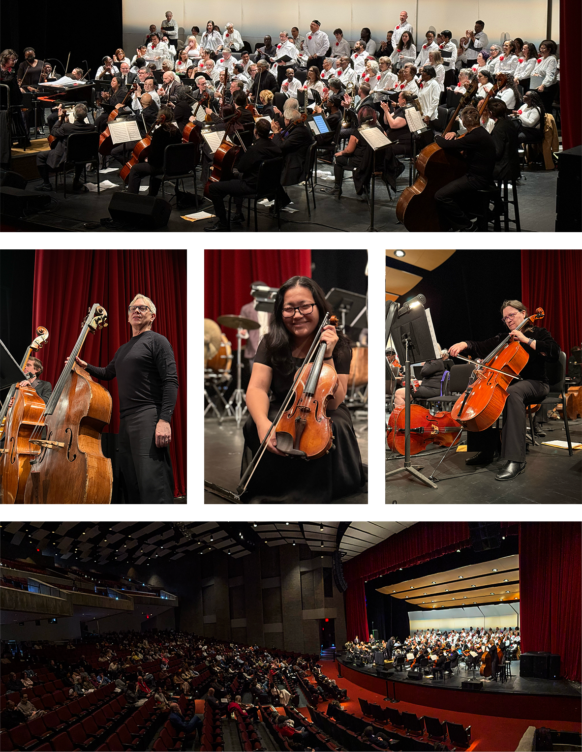 Auditorium with close-ups and far-away views of the concert
