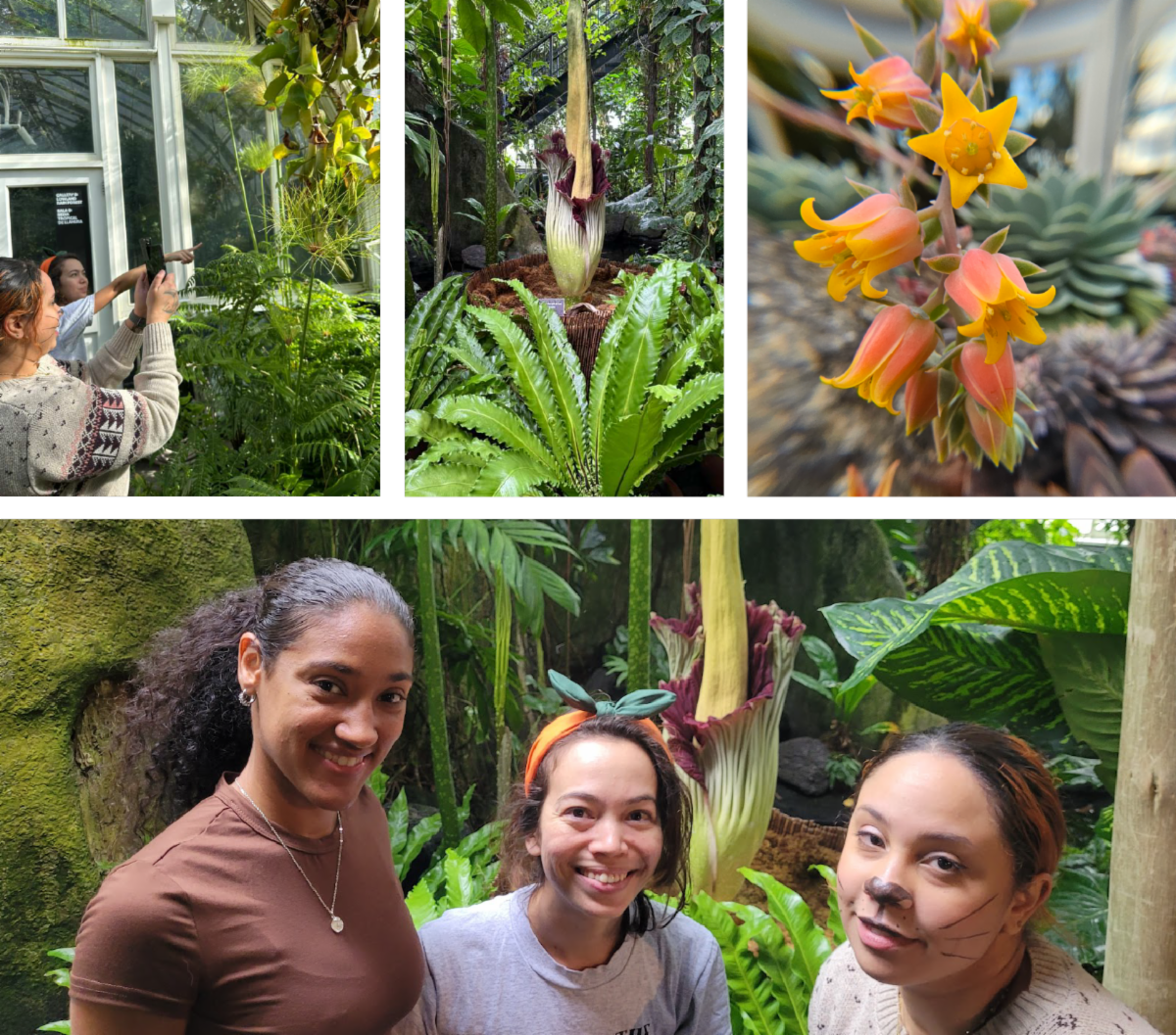Collage of photos at NYBG with Corpse Flower and other bright orange flower