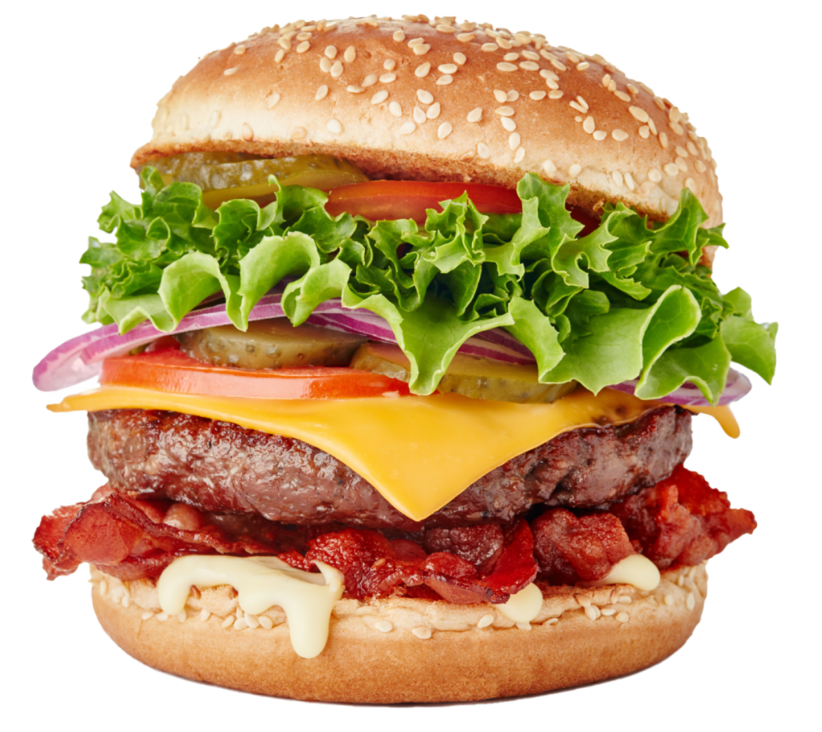Stock art of burger