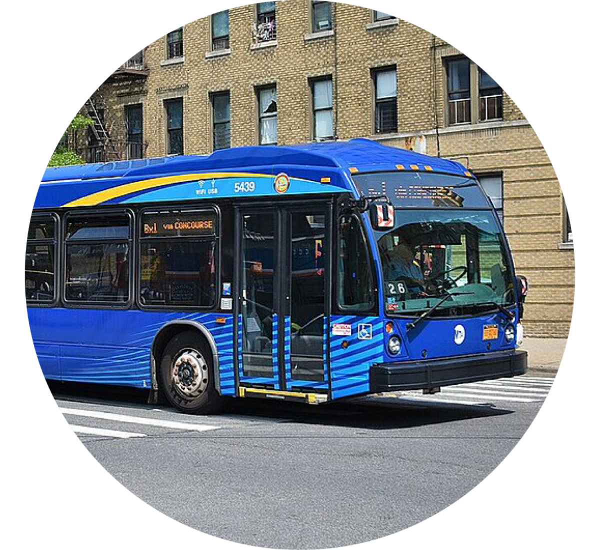 MTA Bus stock art