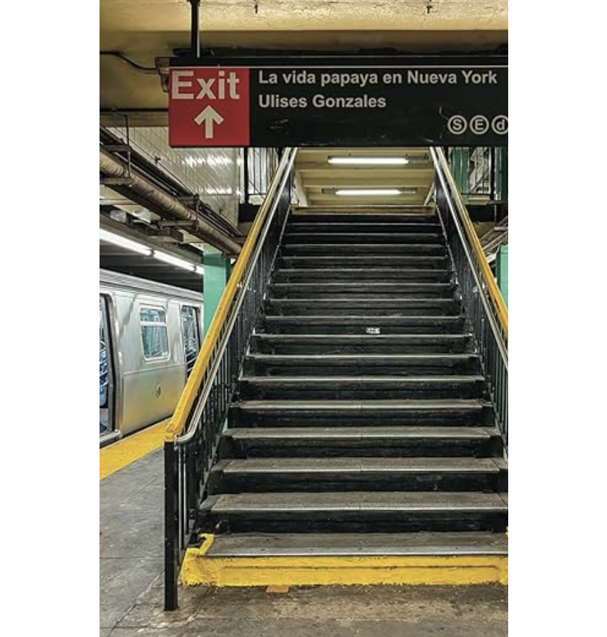 Book Cover Showing Subway Stairs