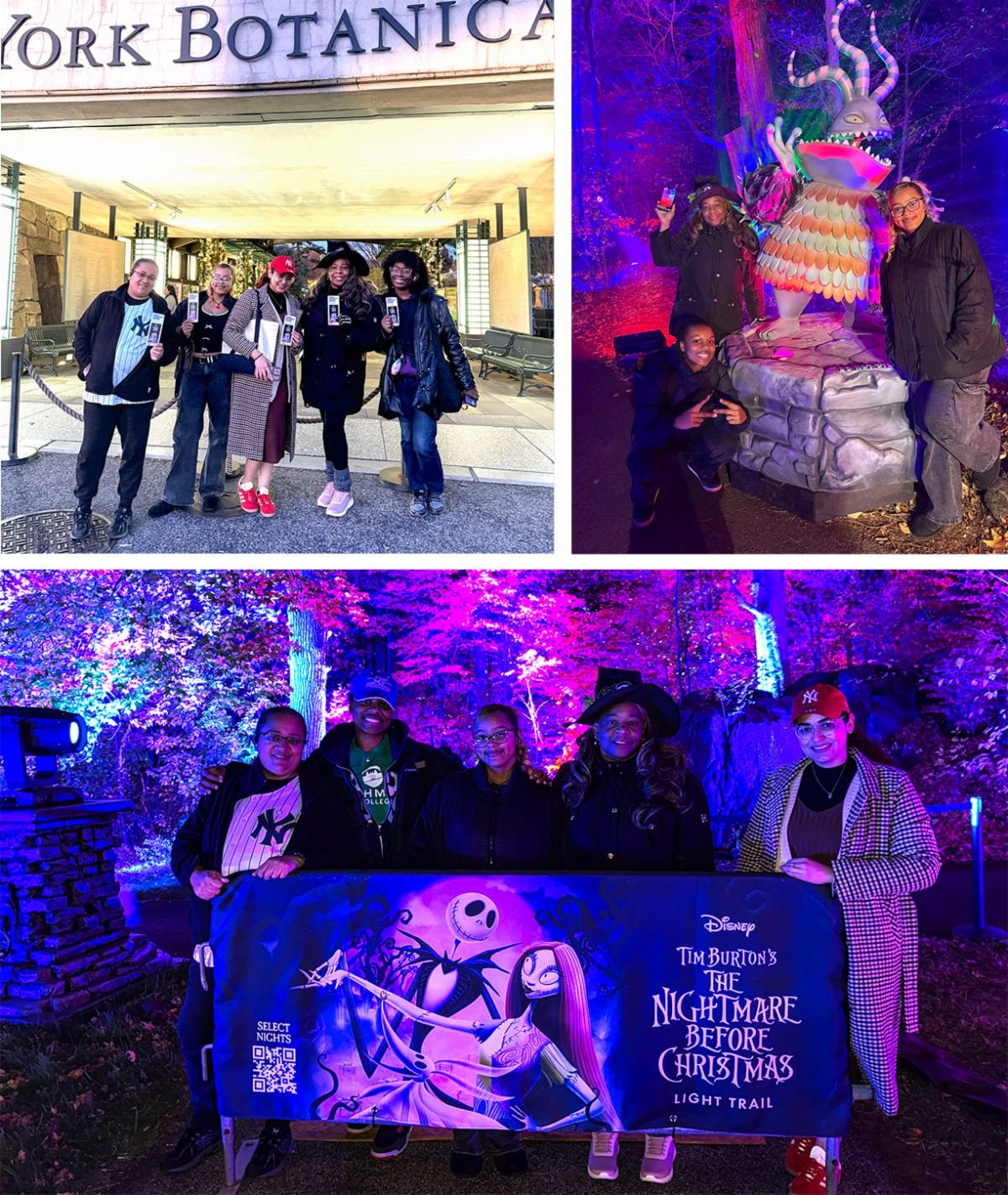 Purple and Pink lights and spooky event at NYBG 